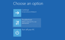 Windows10AdvancedBootOptionsEx0.png