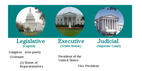 Three Branches of Government.png